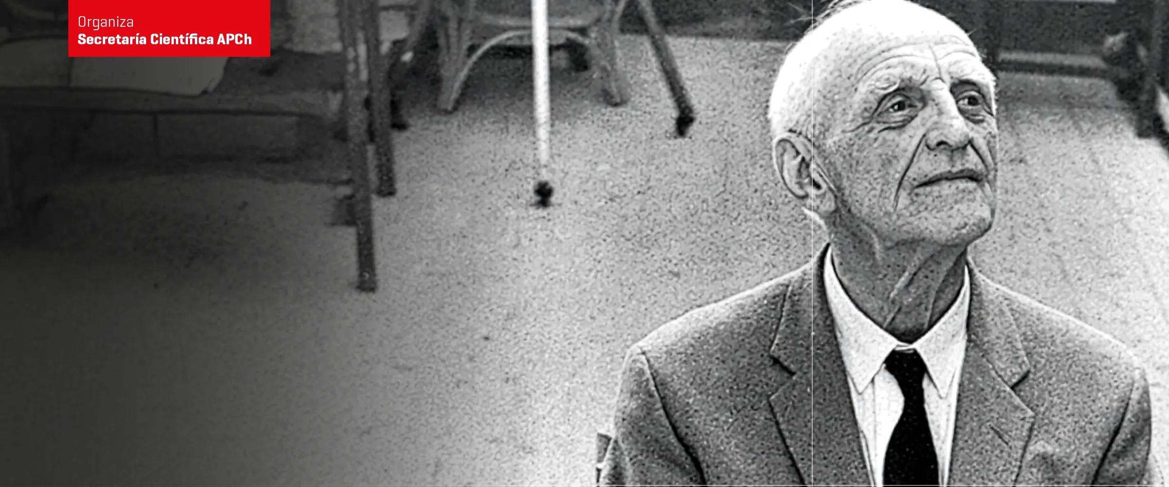 Winnicott revisitado