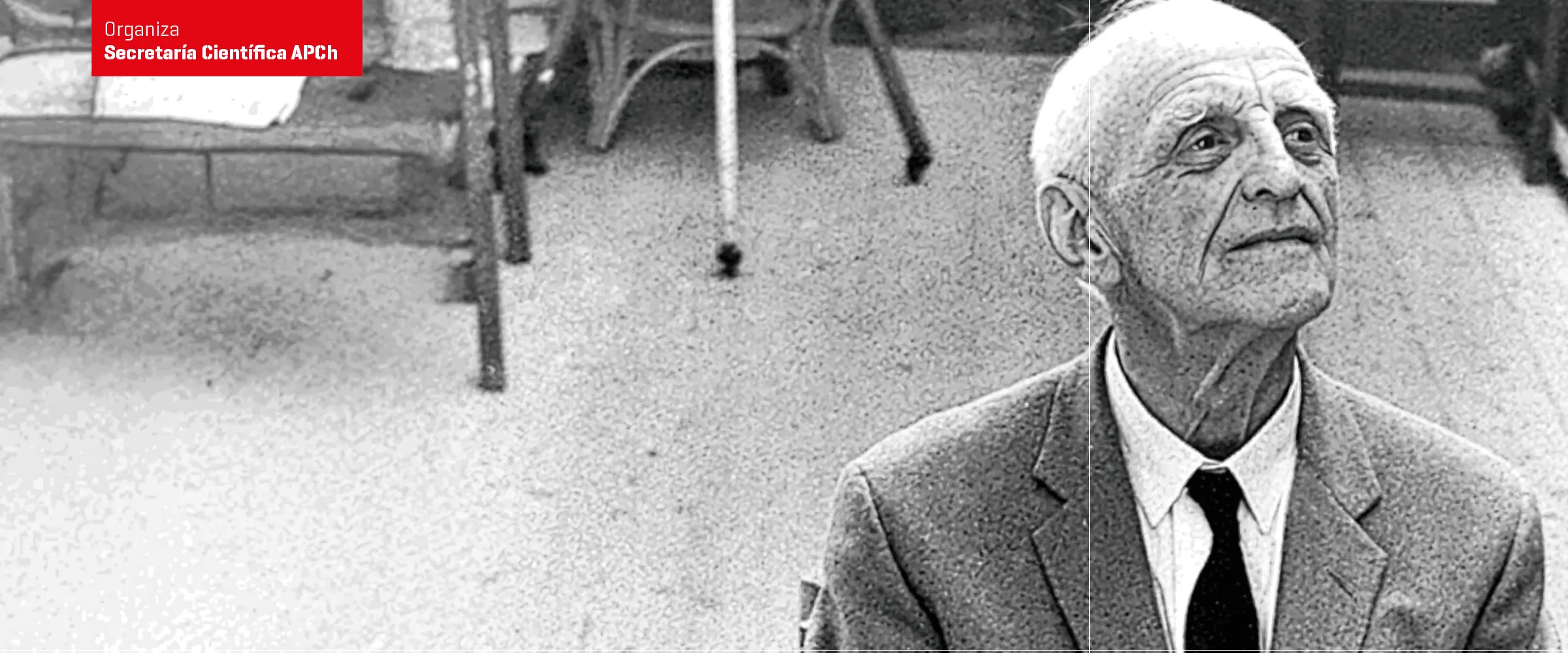 Winnicott revisitado